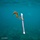Basura y Contaminación (9) ‘Sewage surfer’, de Justin Hoffman
