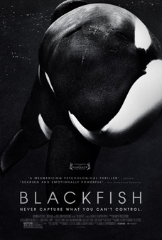‘Blackfish’, de Gabriela Cowperthwaite