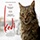 Kedi (Ceyda Torun, 2016)