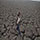 Cambio Climático (10) Mirando a los Andes: El cambio climático en Bolivia