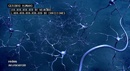 ¿Cómo se conectan las neuronas?