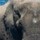 ‘Terra’ (Yann Arthus-Bertrand y Michael Petiot)