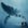Ballenas (5) Sea Shepherd, batallar por las ballenas
