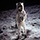 El día en que caminamos sobre la Luna (TVE, 2019)
