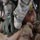 Al descubierto : Guerra en Irak