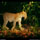 Leopardo (4) Leopardo, la noche del cazador